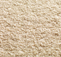 Ковролин Jacaranda Carpets Tapanui Parchment фото 1 | FLOORDEALER