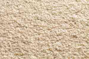 Ковролин Jacaranda Carpets Tapanui Parchment фото  | FLOORDEALER