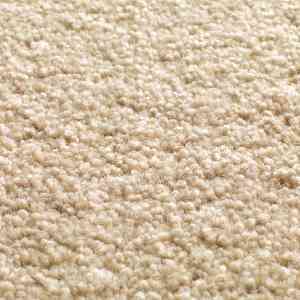 Ковролин Jacaranda Carpets Tapanui Parchment фото ##numphoto## | FLOORDEALER