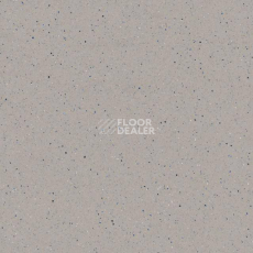 Линолеум Tarkett Zenit 703 фото 1 | FLOORDEALER