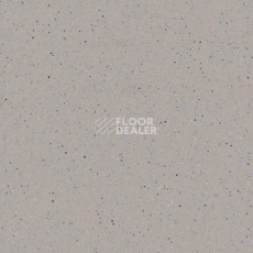 Линолеум Tarkett Zenit 703 фото 1 | FLOORDEALER