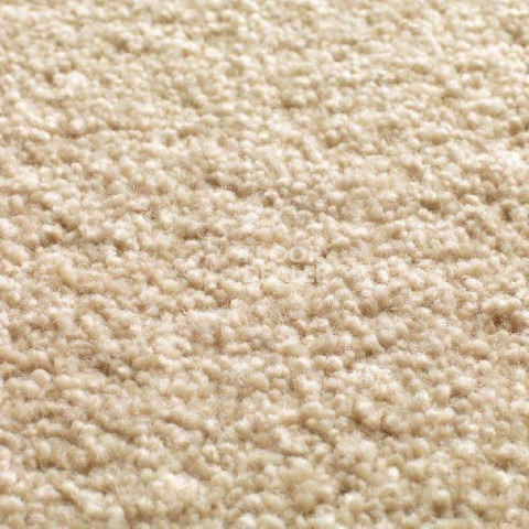 Ковролин Jacaranda Carpets Tapanui Parchment фото 1 | FLOORDEALER
