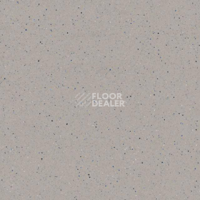 Линолеум Tarkett Zenit 703 фото 1 | FLOORDEALER