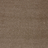 Ковролин AW Masquerade Fedone 46 фото 1 | FLOORDEALER