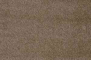 Ковролин AW Masquerade Fedone 46 фото  | FLOORDEALER