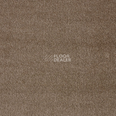 Ковролин AW Masquerade Fedone 46 фото 1 | FLOORDEALER