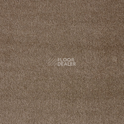 Ковролин AW Masquerade Fedone 46 фото 1 | FLOORDEALER