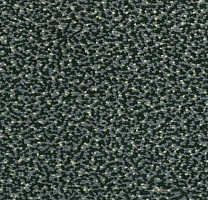 Ковровая плитка Westbond Flex Nf 152156 фото 1 | FLOORDEALER