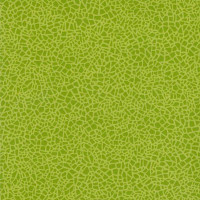 Линолеум Grabo Acoustic 7 Colour 388_662_275 фото 1 | FLOORDEALER