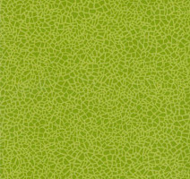 Линолеум Grabo Acoustic 7 Colour 388_662_275 фото 1 | FLOORDEALER