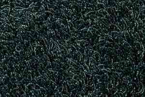 Ковровая плитка Betap Chromata Feel 42 фото  | FLOORDEALER