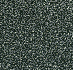 Ковровая плитка Westbond Flex Nf 152156 фото 1 | FLOORDEALER