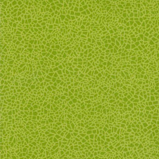 Линолеум Grabo Acoustic 7 Colour 388_662_275 фото 1 | FLOORDEALER