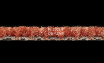 Desso Essence 4413 фото 3 | FLOORDEALER
