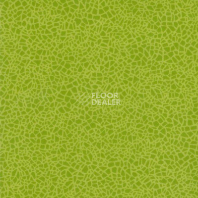 Линолеум Grabo Acoustic 7 Colour 388_662_275 фото 1 | FLOORDEALER