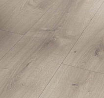 Ламинат Parador Basic Plus 600 XS 1744356 Дуб Мистраль Серый фото 1 | FLOORDEALER