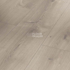 Ламинат Parador Basic Plus 600 XS 1744356 Дуб Мистраль Серый фото 1 | FLOORDEALER