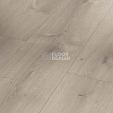 Ламинат Parador Basic Plus 600 XS 1744356 Дуб Мистраль Серый фото 1 | FLOORDEALER