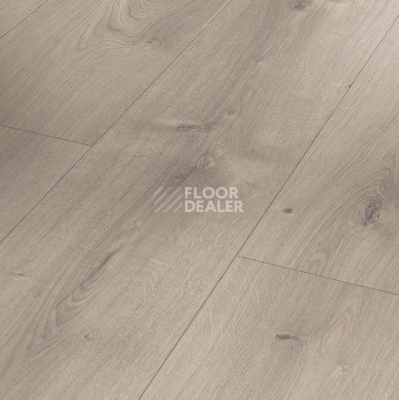 Ламинат Parador Basic Plus 600 XS 1744356 Дуб Мистраль Серый фото 1 | FLOORDEALER