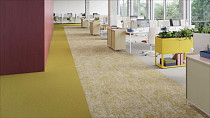 Desso Essence Roots AD08 6322 фото 2 | FLOORDEALER