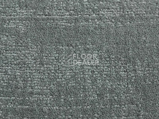 Ковролин Jacaranda Carpets Willingdon Beluga фото 1 | FLOORDEALER