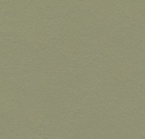 Линолеум Forbo Marmoleum Decibel 335535 rosemary green фото 1 | FLOORDEALER