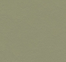 Линолеум Forbo Marmoleum Decibel 335535 rosemary green фото 1 | FLOORDEALER