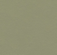 Линолеум Forbo Marmoleum Decibel 335535 rosemary green фото 1 | FLOORDEALER