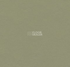 Линолеум Forbo Marmoleum Decibel 335535 rosemary green фото 1 | FLOORDEALER