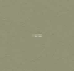 Forbo Marmoleum Decibel 335535 rosemary green фото 1 | FLOORDEALER