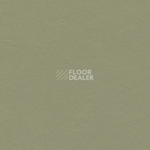Линолеум Forbo Marmoleum Decibel 335535 rosemary green фото 1 | FLOORDEALER