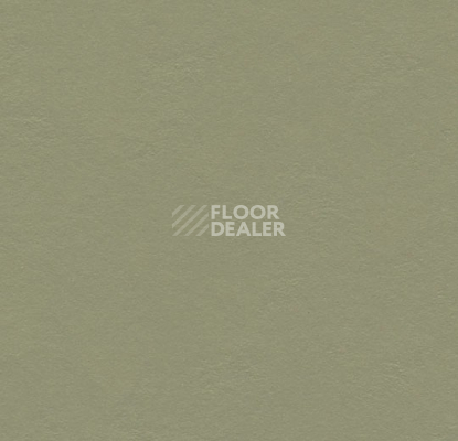 Линолеум Forbo Marmoleum Decibel 335535 rosemary green фото 1 | FLOORDEALER