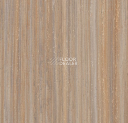 Линолеум Forbo Marmoleum Striato 5225 compressed time фото 1 | FLOORDEALER