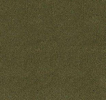 Ковролин Desso Asteranne 7861 фото 1 | FLOORDEALER