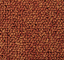 Standard Carpets Spectrum sm 526 фото 2 | FLOORDEALER