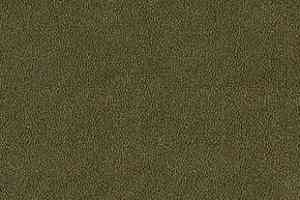 Ковролин Desso Asteranne 7861 фото  | FLOORDEALER