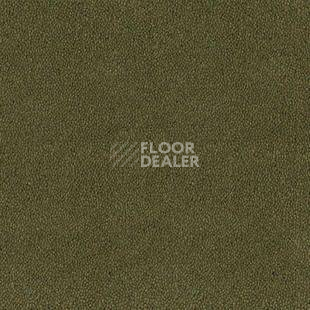 Ковролин Desso Asteranne 7861 фото 1 | FLOORDEALER