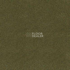 Ковролин Desso Asteranne 7861 фото 1 | FLOORDEALER