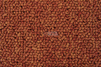 Standard Carpets Spectrum sm 526 фото 2 | FLOORDEALER