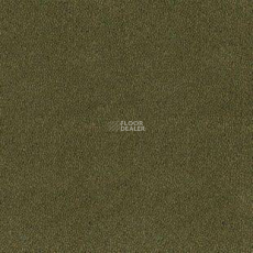 Desso Asteranne 7861 фото 1 | FLOORDEALER