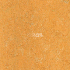 Линолеум Marmorette PUR 125-173 фото 1 | FLOORDEALER