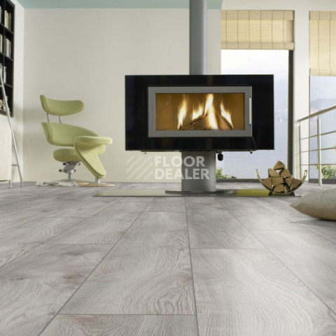 Kronotex Mammut Plus d4793 Дуб Белый Макро фото 5 | FLOORDEALER
