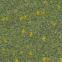 Ковролин Finett Vision Focus 605512 фото 1 | FLOORDEALER