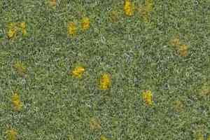 Ковролин Finett Vision Focus 605512 фото  | FLOORDEALER