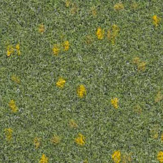 Ковролин Finett Vision Focus 605512 фото 1 | FLOORDEALER