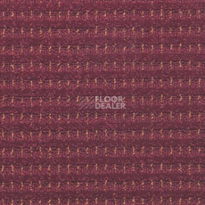 Ковролин Balta ITC Splendid 16 фото 1 | FLOORDEALER