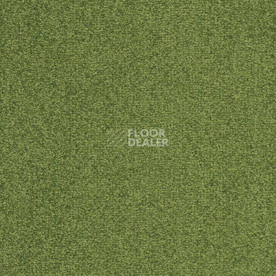 Ковровая плитка Balsan Bolero Planks 244 фото 1 | FLOORDEALER