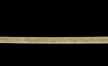 Tarkett iq Melodia 2644 фото 4 | FLOORDEALER