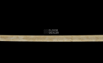 Tarkett iq Melodia 2644 фото 4 | FLOORDEALER