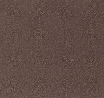 Ковролин Desso Asteranne 2123 фото 1 | FLOORDEALER